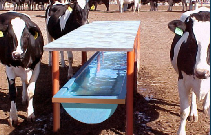 bebedero para ganado